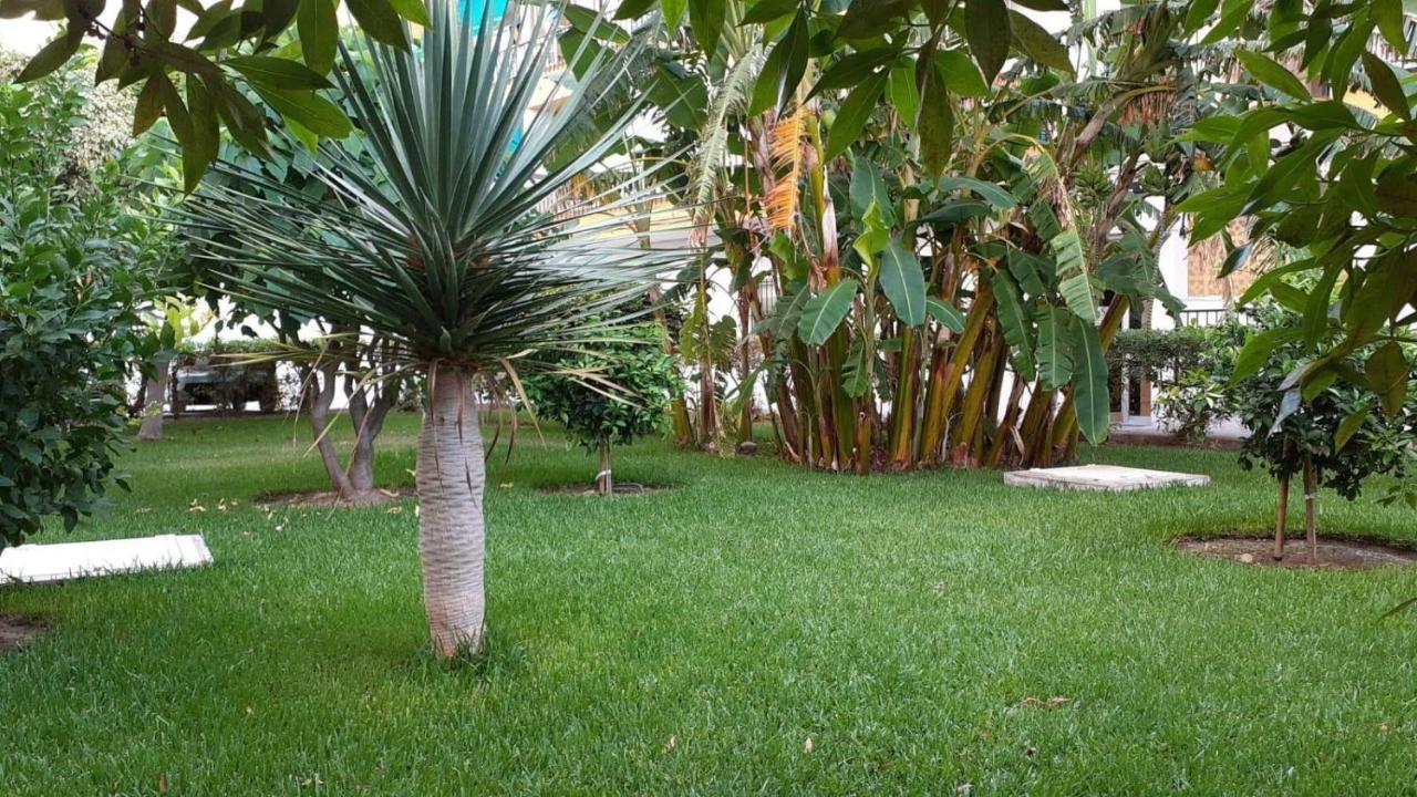 Rincon Mediterraneo 内尔哈 外观 照片